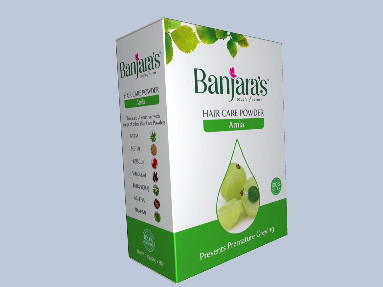 Banjara's Amla hair care carton — structural design render
